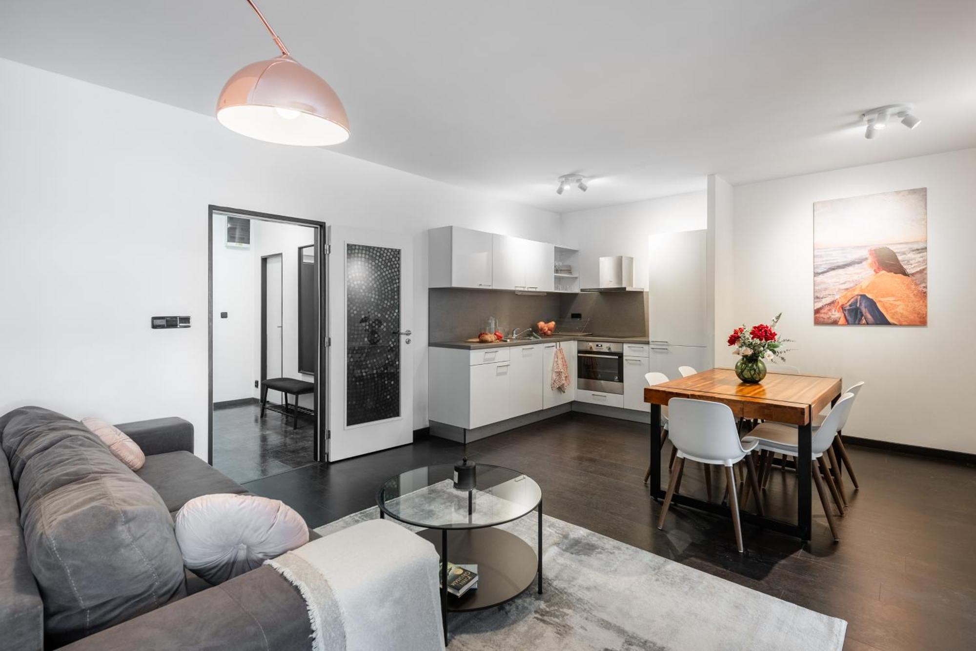 Spacious Apartments Near Karlin Square Prága Kültér fotó